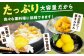 栗 冷凍 生栗 くり むき栗 マロン 低温熟成 日本栗 国産 岐阜県 恵那市産 産地直送 送料無料 お取り寄せ ギフト 贈答 