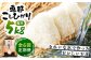 【6回定期便】　こしひかり 白米 5kg×6ヵ月