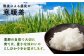 【6回定期便】　こしひかり 白米 5kg×6ヵ月