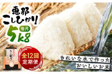 【12回定期便】　こしひかり 白米 5kg×12ヵ月 恵那 / お米 こめ コシヒカリ / 恵那市 / おこめのささき [AUAT004]