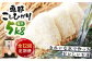 【12回定期便】　こしひかり 白米 5kg×12ヵ月