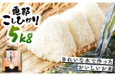 こしひかり 5kg 白米 恵那 / お米 こめ コシヒカリ / 恵那市 / おこめのささき [AUAT012]