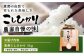 こしひかり 5kg 白米 恵那 / お米 こめ コシヒカリ  / おこめのささき [AUAT012]