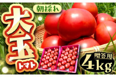 ＼キャンペーン実施中！／【先行予約】【7月中旬から10月中旬に順次発送】大玉トマト 4kg 産地直送 とまと トマト  恵那市 / クリエイティブファーマーズ [AUAH013]