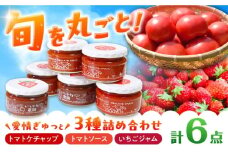石川農園・愛情ぎゅっと詰め合わせセット / トマトケチャップ トマトソース パスタソース いちごジャム 国産 セット 食べ比べ 野菜 やさい とまと 健康 美容 ギフト贈答 プレゼント 岐阜県産 恵那市産 とまと / 恵那市 / クリエイティブファーマーズ [AUAH001]