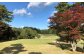 ゴルフ ゴルフ場 GOLF チケット 体験 利用券 利用料