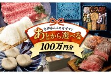 【あとから選べる】 岐阜県恵那市ふるさとギフト 寄附100万円分 飛騨牛 スイーツ キャンプ用品 栗きんとん あとから ギフト [AUFQ019]