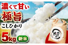 【12月発送】【R7年新米】恵那岩村とみだコシヒカリ精米5kg / こめ コメ 米 おコメ お米 おこめ 精米 せいまい コシヒカリ こしひかり 新米 しんまい 5kg / 恵那市 / 山丸屋商店 [AUDA001]