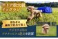 NAGI dog glamping ena 宿泊利用券 3,000円分