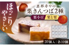 【先行予約】【着日指定要】【2025年11月下旬～2026年4月中旬に順次発送】栗きんつば 20個入り / 栗 きんつば 小豆餡 / 恵那市 / 株式会社 恵那寿や〈配送不可地域：北海道・青森・秋田・宮崎・鹿児島・沖縄・離島〉 [AUAS022]