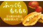 西の木の月（栗餡）10個入り