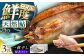 AUFS003 天然あゆの一夜干し 特大 3匹セット / 恵那物産館