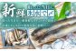 AUFS003 天然あゆの一夜干し 特大 3匹セット / 恵那物産館