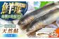 AUFS009 ＜冷凍＞天然あゆ　5匹入り / 恵那物産館