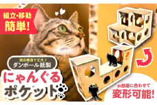 にゃんぐるポケット / キャットハウス 猫 インテリア ペット / 恵那市 / 東濃コアー [AUEZ002]