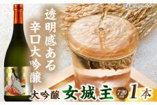 女城主 大吟醸 720ml / 日本酒 お酒 地酒 銘酒 / 恵那市 / 岩村醸造  [AUAK003]