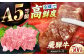 「飛騨牛」A5等級 ロース 500g