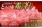 「飛騨牛」A5等級 ロース 500g