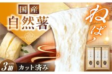 【伊勢神宮外宮奉納品】自然薯 小箱（180g）×3の詰合せ / 自然薯 じねんじょ とろろ 山芋 やまいも / 恵那市 / 水戸屋 [AUFZ010]