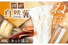 【定番人気】自然薯 中（800g）/ 自然薯 じねんじょ 贈答 山芋 やまいも / 恵那市 / 水戸屋 [AUFZ009]