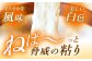 自然薯 中（800g） / 水戸屋