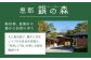 琥珀 10個入り