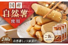 自然薯のしょう油漬け 240g（80g×3）/ 自然薯 しょう油漬け 醤油漬け 漬け物 漬物 グルテンフリー / 恵那市 / 水戸屋 [AUFZ012]