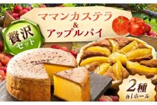 ママンセットB / ママンカステラ アップルパイ ケーキ スイーツ 洋菓子 ギフト / 恵那市 / 銀の森 [AUBG046]