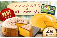 ママンセットA / ガトーフロマージュ ママンカステラ チーズケーキ ケーキ スイーツ 洋菓子 ギフト / 恵那市 / 銀の森 [AUBG045]