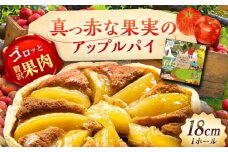 真っ赤な果実のアップルパイ / りんご 林檎 リンゴ あっぷるぱい ケーキ スイーツ 洋菓子 ギフト / 恵那市 / 銀の森 [AUBG055]