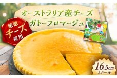 ガトーフロマージュ / チーズケーキ ちーず ケーキ スイーツ 洋菓子 ギフト / 恵那市 / 銀の森 [AUBG058]