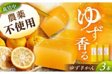 ゆず羊かん 3本 / ようかん 羊羹 和菓子 柚子 ゆず / 恵那市 / かさぎゆず組合 [AUAW014]
