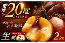 【先行予約】【2025年9月下旬〜10月上旬に順次発送】おやすみ栗（マロン）2kg（2Lサイズ）/ 栗 生栗 くり マロン 低温熟成 日本栗 国産 / 恵那市 / えな笠置山栗園 [AUAV001]