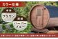 バレルサウナgalbe middle（4人用）ブラウン×ハーバーブルー
