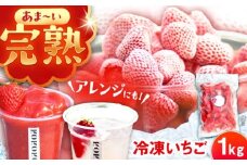 冷凍いちご 1kg / 苺 いちご イチゴ 冷凍 冷凍イチゴ 冷凍苺 / 恵那市 クリエイティブファーマーズ [AUAH023]