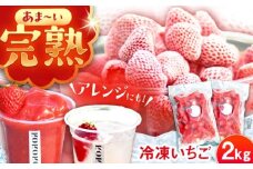 冷凍いちご 2kg / 苺 いちご イチゴ 冷凍 冷凍イチゴ 冷凍苺 / 恵那市 クリエイティブファーマーズ [AUAH024]