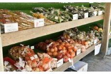 中野方町の特産品！ 旬の農産加工物セット 棚田米入り お米 野菜 やさい 野菜セット詰め合わせ 送料無料 お取り寄せ ギフト 贈答 プレゼント 恵那市 / なかのほう不動滝やさいの会 [AUCB001]