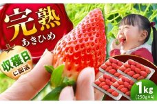 【先行予約】【2026年1月上旬より順次発送】あきひめ 250g×4パック / いちご 苺 イチゴ あきひめ 国産 / 恵那市 / 阿部農園 [AUGA003]