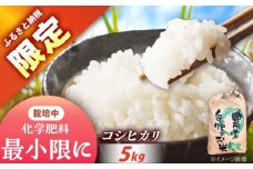 〈ふるさと納税限定！〉令和7年度産コシヒカリ 5キロ / 米 お米 コシヒカリ 新米 精米 白米 産地直送 / 恵那市 / トモファーム [AUCA003]