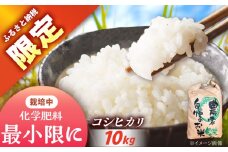 〈ふるさと納税限定！〉令和7年度産コシヒカリ 10キロ  / 米 お米 コシヒカリ 新米 精米 白米 産地直送 / 恵那市 / トモファーム [AUCA004]