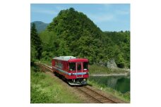 【レビューキャンペーン対象商品】ふるさと納税記念　長良川鉄道 全線 １日 フリー 乗車証 | 長良川 鉄道 列車 列車旅 M12S70 