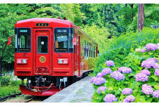 【レビューキャンペーン対象商品】観光列車 「ながら」 スイーツ プラン予約券（ペア）| 観光 予約 券 2名様 長良川鉄道 長良川 鉄道