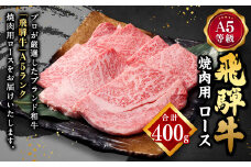 【レビューキャンペーン対象商品】飛騨牛 A5 等級 焼肉 用 （ ロース 400g） | 肉のかた山 牛肉 牛 肉 焼き肉 和牛 黒毛和牛 国産 M22S38