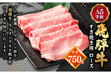 【レビューキャンペーン対象商品】飛騨牛 A5 等級 すき焼き 用（ ロース 750g） | 肉のかた山 牛肉 牛 肉 お肉 すき焼き用牛肉 国産 和牛 黒毛和牛