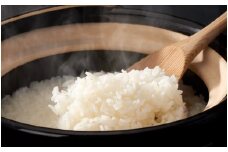 【レビューキャンペーン対象商品】岐阜県産 はつしも ( 10kg )  | お米 米 白米 精米 ごはん 5kg 2袋