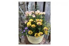 【レビューキャンペーン対象商品】季節の 寄せ植え | フローリスト カモノ花園 おまかせ 季節 お花 花 植物 フラワー アレンジ M16S24