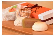 【レビューキャンペーン対象商品】和菓子（ 蜂屋柿 羊羹 と 焼き菓子 ）の 詰め合わせ 計11個 | みのかも金蝶堂 お菓子 菓子 柿 ようかん 焼菓子 おやつ M23S04