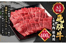 【レビューキャンペーン対象商品】飛騨牛 A5 等級 焼肉 用 400g（ モモ肉 ） | 肉のかた山 牛肉 牛 肉 焼き肉 和牛 黒毛和牛 国産 M12S85