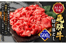 【レビューキャンペーン対象商品】飛騨牛 A4 A5 等級 切り落とし 500g | 肉のかた山 牛肉 牛 肉 焼肉 すき焼き しゃぶしゃぶ 和牛 黒毛和牛 国産 M11S66