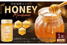 【レビューキャンペーン対象商品】国産 無添加 MINOKAMO HONEY はちみつ（500g） | 藤井養蜂 蜂蜜 ハニー 非加熱 純粋 百花蜜 保存食 岐阜 M12S101